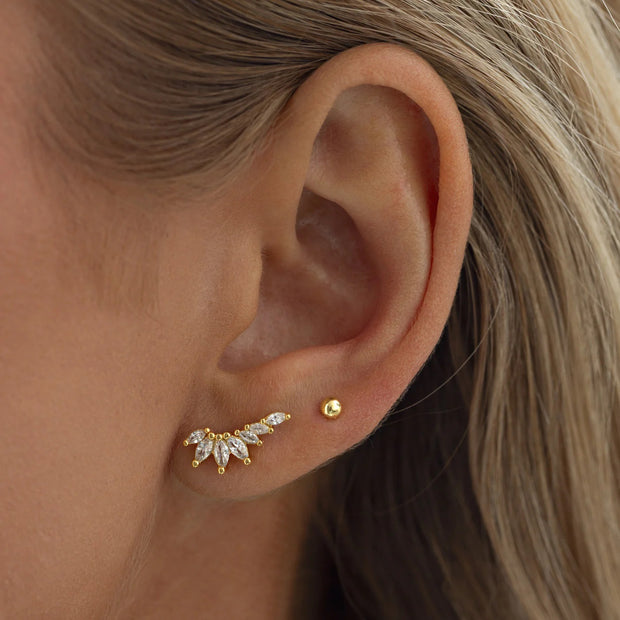 Zubi Crystal Leaf Ear Climber Earrings