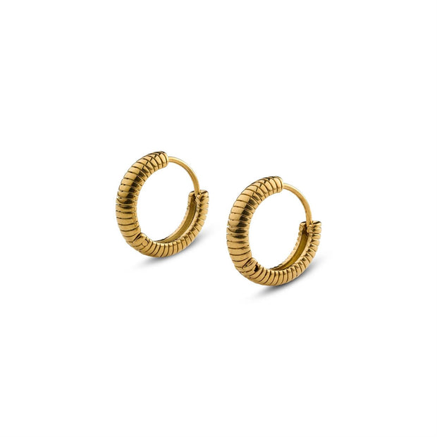 Vivia Ribbed Hoop Earrings
