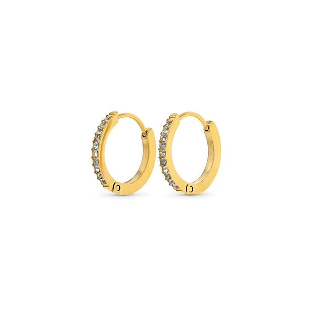 Nilea Crystal Hoop Earrings