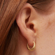 Gull Rope Earrings