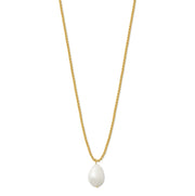Pearl Drop Mid-length Necklace